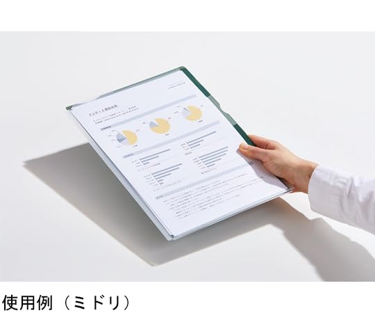 Amazon | キングジム スーパーハードホルダー 3山インデックス